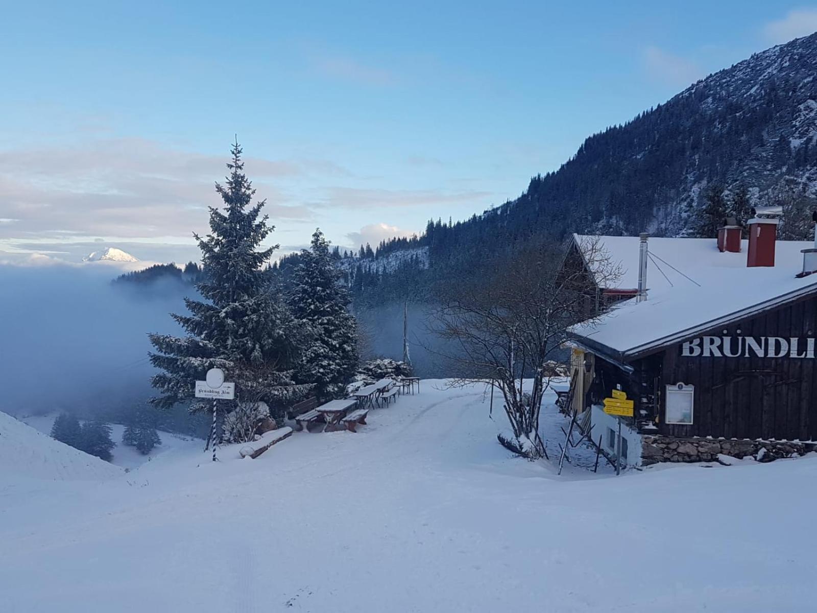 Bruendling-Alm Berggasthof Auf 1167M Auf Dem Hochfelln Ξενοδοχείο Μπέργκεν Εξωτερικό φωτογραφία