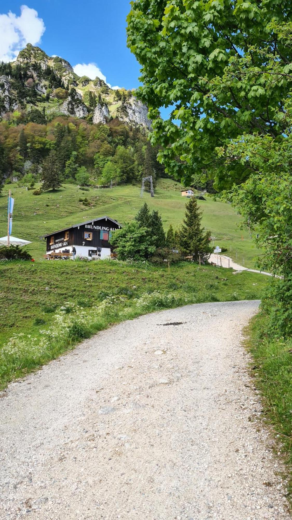 Bruendling-Alm Berggasthof Auf 1167M Auf Dem Hochfelln Ξενοδοχείο Μπέργκεν Εξωτερικό φωτογραφία